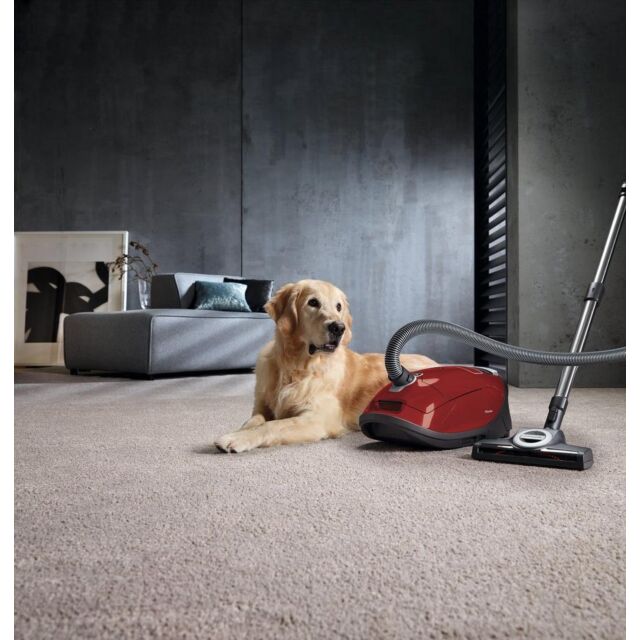 Miele C3FLEX CAT+DOG Cylinder Cleaner