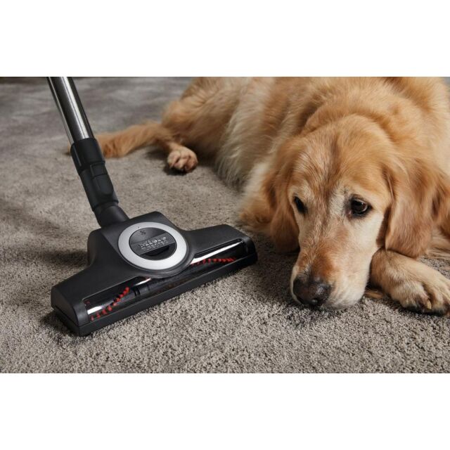 Miele C3FLEX CAT+DOG Cylinder Cleaner